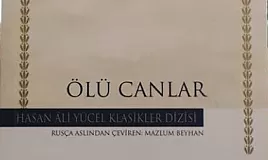 Ölü Canlar Roman Özeti |Nikolay Vasilyeviç Gogol