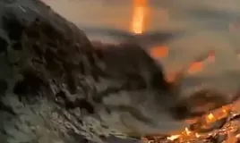 Rüyada Bulanık Su Görmek Ne Anlama Gelir?