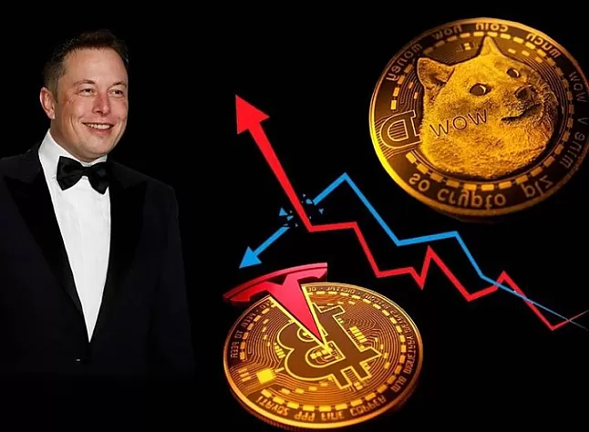 elonmuskvedogecoin