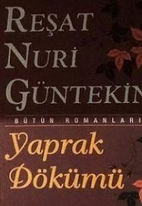 Yaprak Dökümü Kitap Özeti 