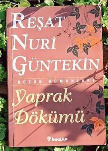 Yaprak Dökümü Roman Özeti | Reşat Nuri Güntekin