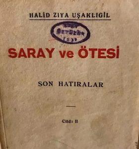 Saray Ve Ötesi Roman Özeti | Halit Ziya Uşaklıgil