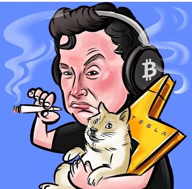 Elon Musk dogecoin