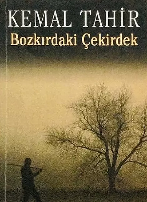 Bozkırdaki Çekirdek Roman Özeti | Kemal Tahir