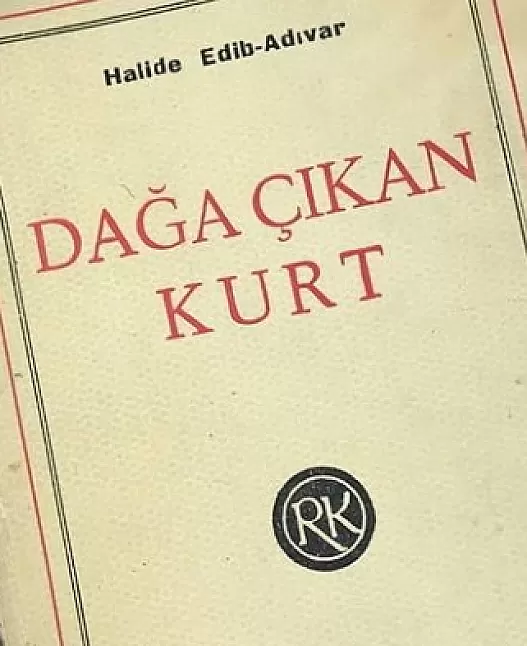 Dağa Çıkan Kurt Kitap Özeti | Halide Edip Adıvar