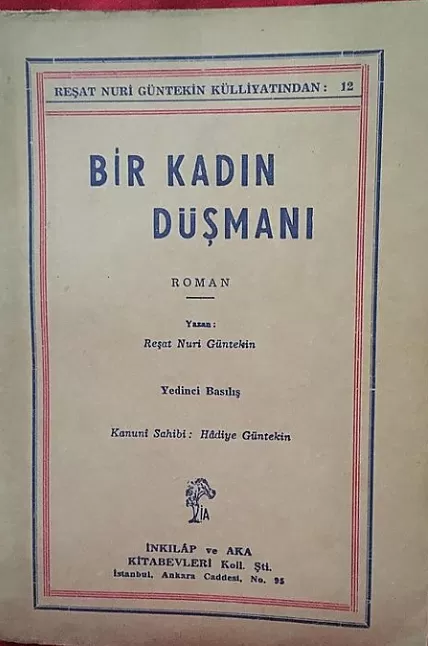 Bir kadın düşmanı özeti 