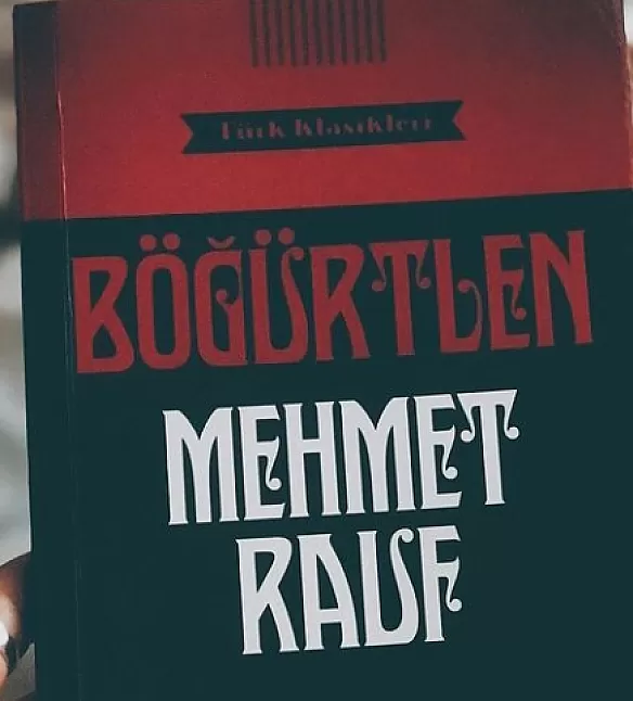 Mehmet Rauf Böğürtlen Roman Özeti 