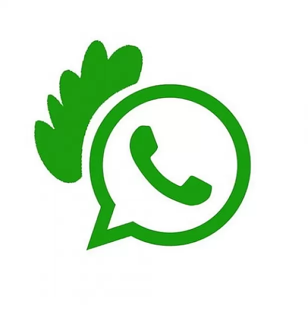 WhatsApp android ios özellik