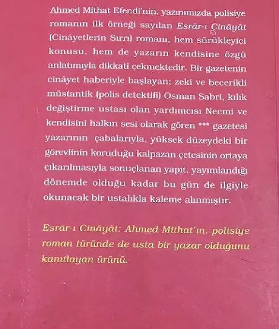 Esrarı cinayet roman özeti