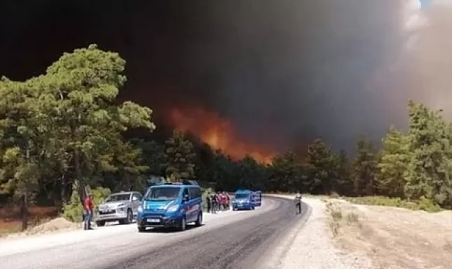 Manavgat yangın ne oldu