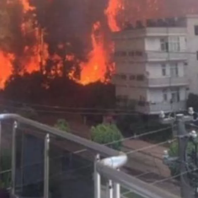 Manavgat yangın nel oldu