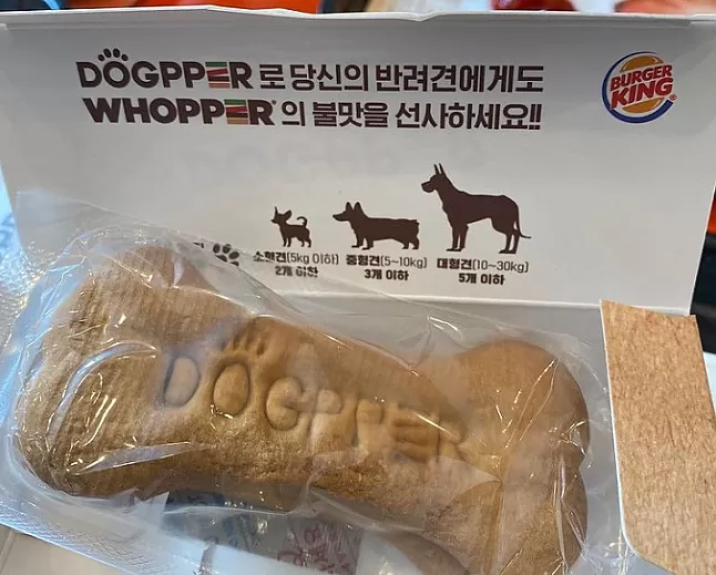 Doppler cripto koin