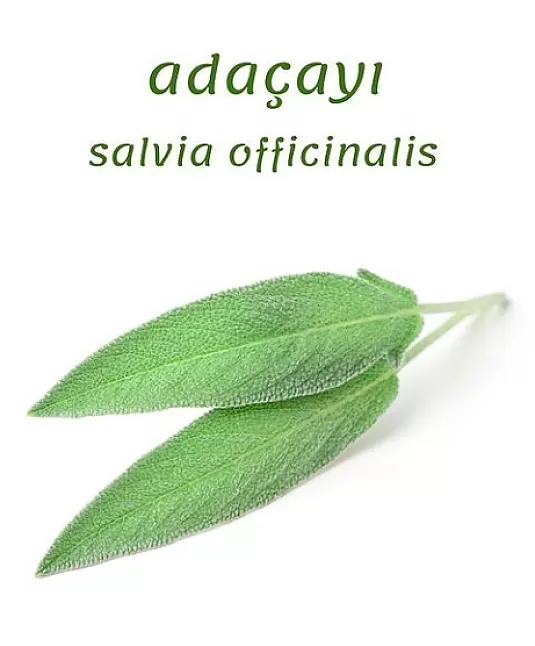 Ada çayı faydaları