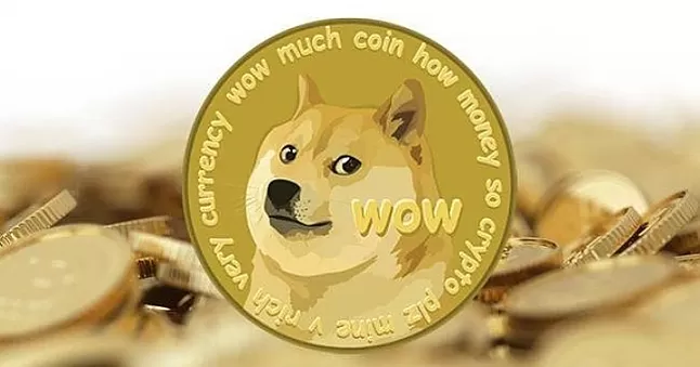 Dogecoin ne olacak ?