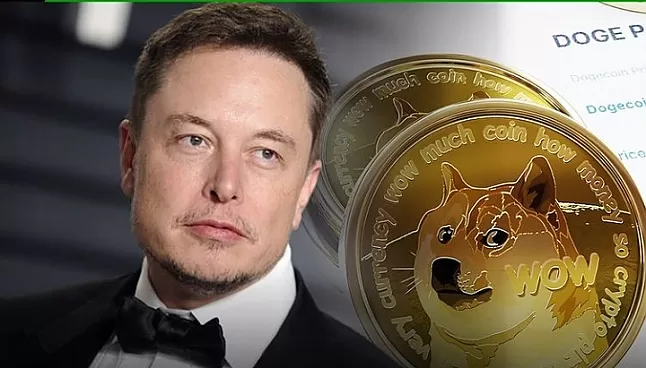 Elon Musk ve Dogecoin ne olacak ?