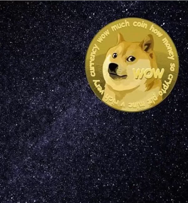 Dogecoin ne olacak