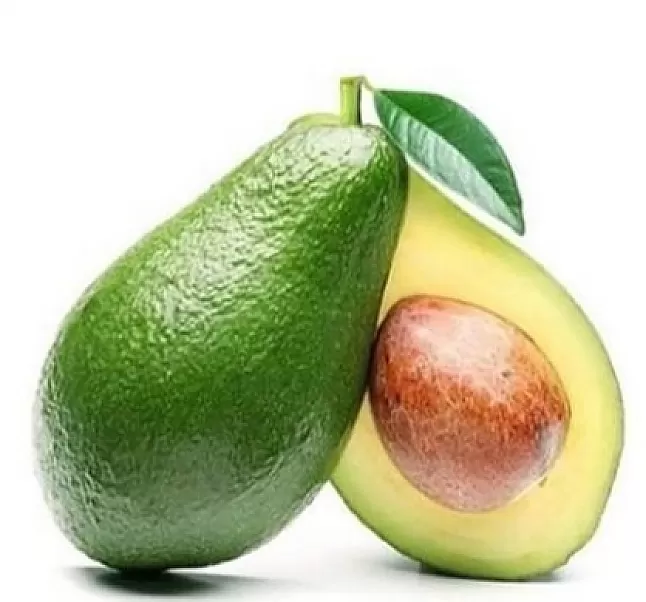 Avakado bitkisi