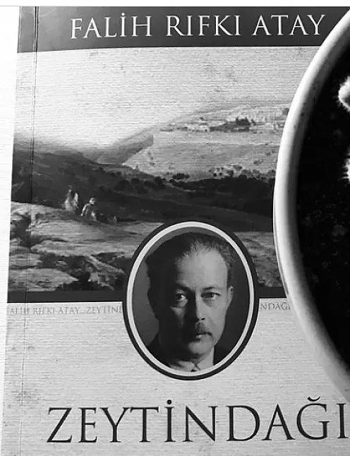 Zeytindağı Kitap Özeti | Falih Rıfkı Atay