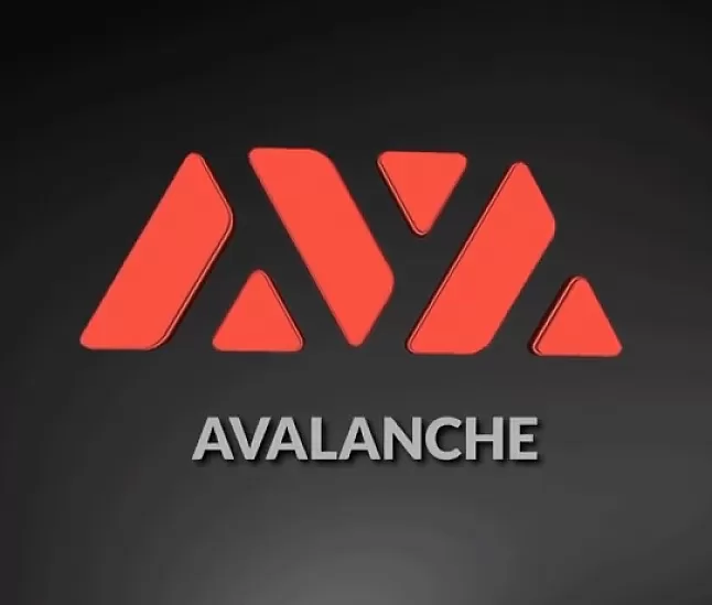 1629647907 Avalanche (AVAX) coin nedir?