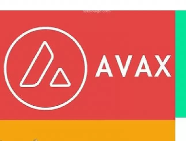 1629647972 Avalanche AVAX coin kimin?