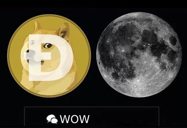 Dogecoin Ne Kadar Olacak ?