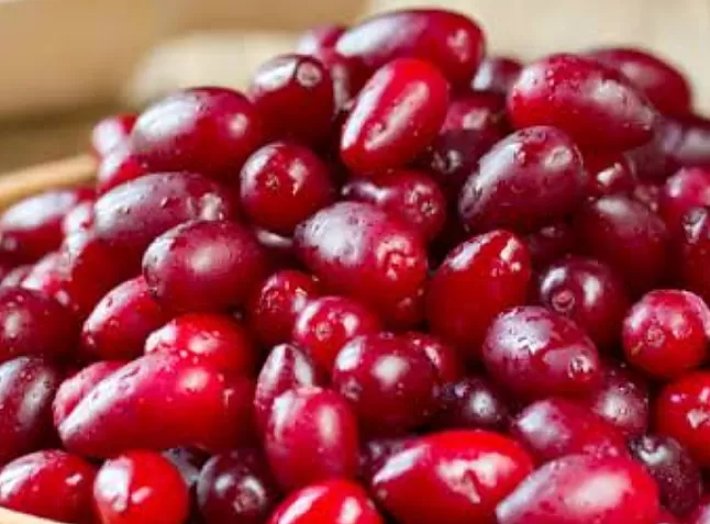 Kızılcık Nedir, Faydaları Nelerdir ?