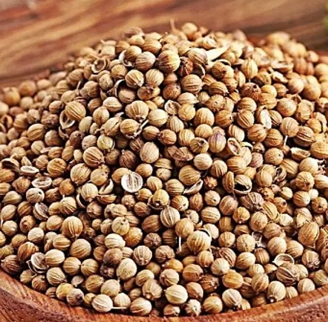 kişniş,fayda,Akdeniz,otsu,haziran,ağustos,mide,kusma,kişnişnedirnasılkullanılırkişnişi faydaları nelerdir,kişnişneyeiyigelir,kisnişnerelerdebulunur