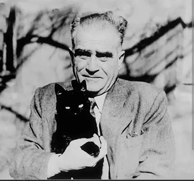 Ahmet Hamdi Tanpınar Özgeçmiş Ahmet Hamdi Tanpınar Kim