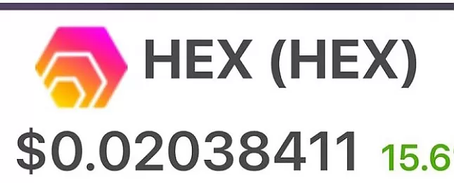HEX coin bilgileri HEX coin Kripto para Nedir ?Ne İşe Yarar?