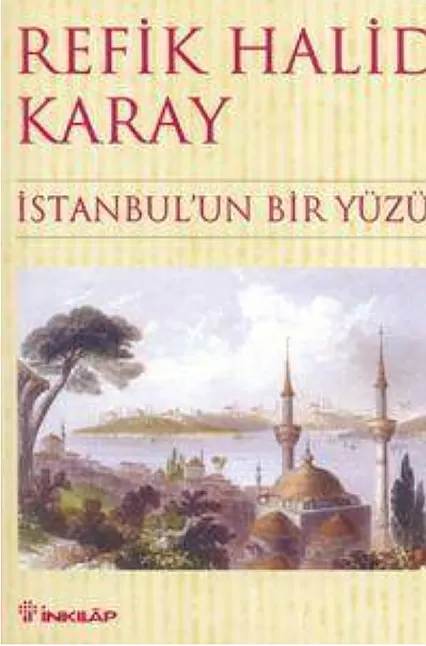 İstanbul’un Bir Yüzü Roman Özeti