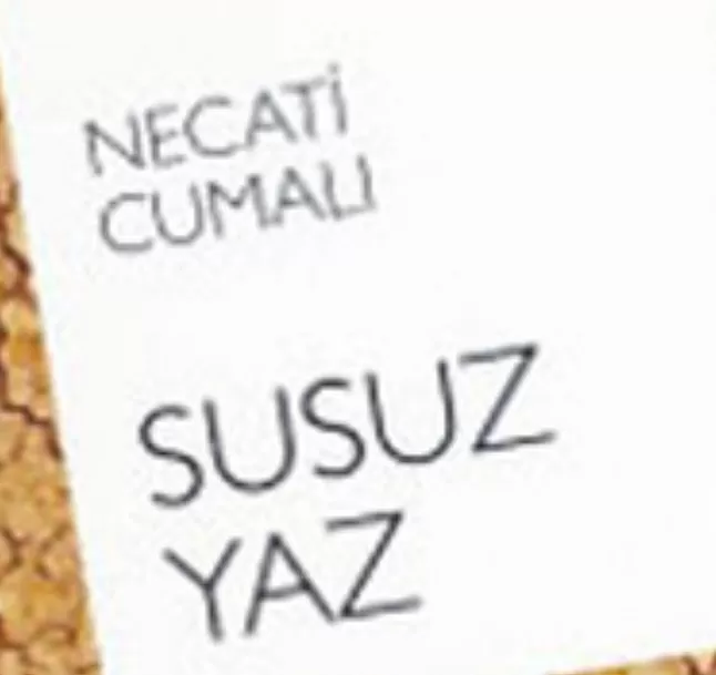 Susuz Yaz Hikaye Özeti | Necati Cumalı
