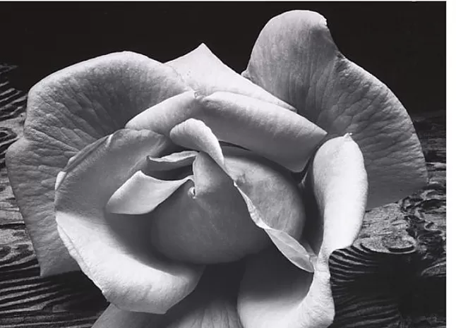 Ansel Adams Kimdir ?