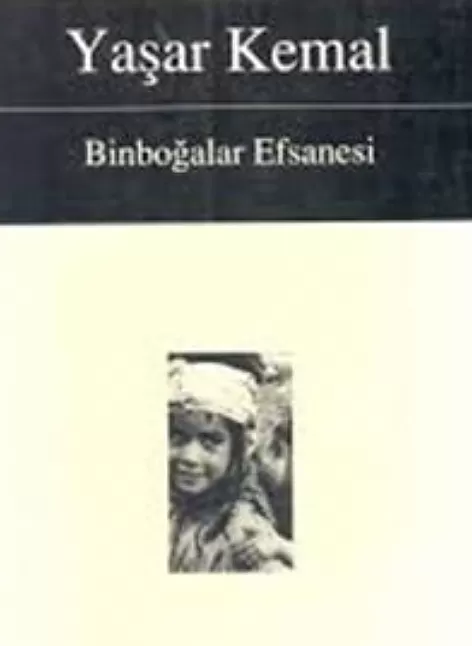 Binboğalar Efsanesi Roman Özeti