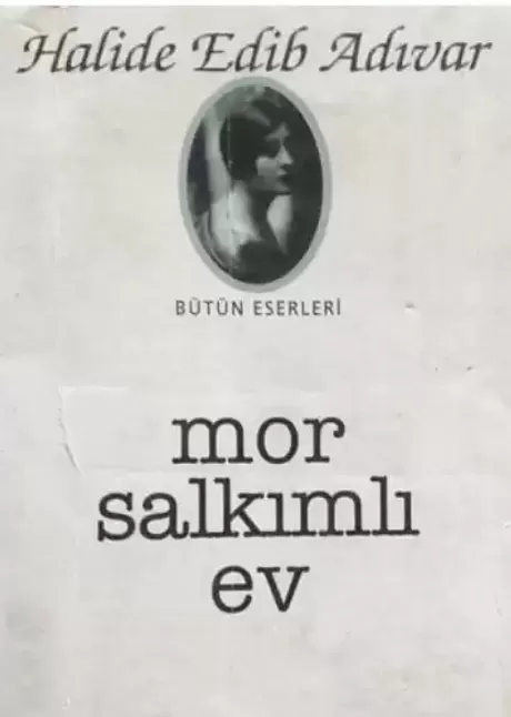 Mor Salkımlı Ev Eser Özeti | Halide Edip Adıvar