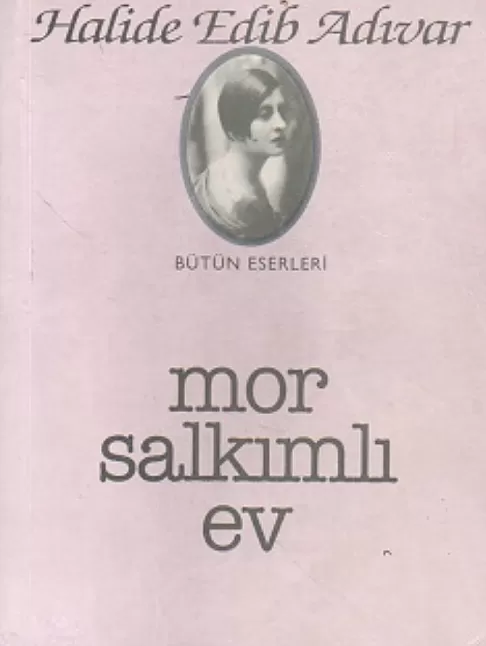 Mor Salkımlı Ev Eser Özeti