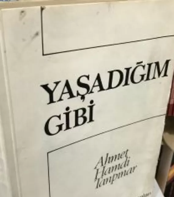 Yaşadığım Gibi Eser