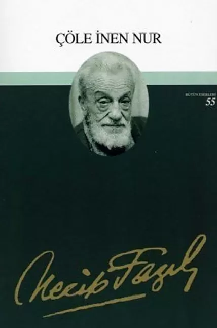 Çöle İnen Nur Kitabının Özeti | Necip Fazıl Kısakürek