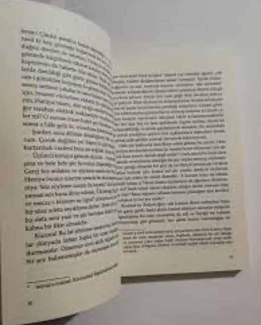 Felsefe-i Zenan Kitabının Özeti | Ahmet Mithat Efendi