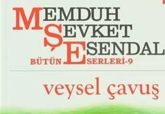 Veysel Çavuş Hikaye kitabı