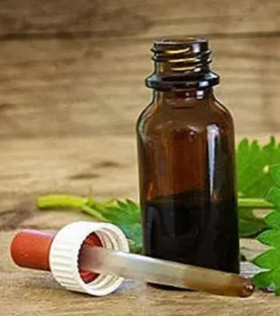 Isırganotu Yağı Nedir ?Isırganotu Faydaları Nelerdir?