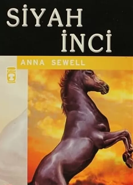 Siyah İnci Roman Özeti | Anna Sewell