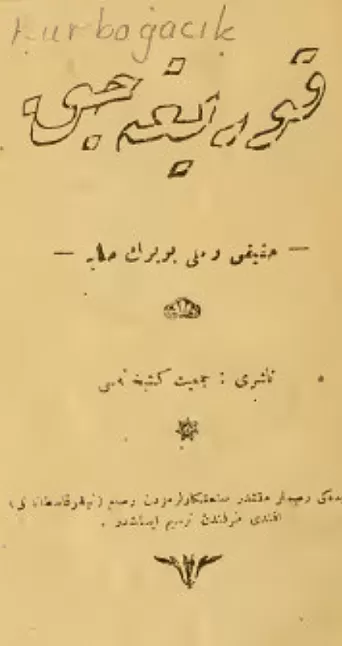 Kurbağacık Roman Özeti | Aka Gündüz