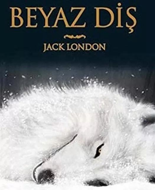 Beyaz Diş Roman Özeti | Jack London