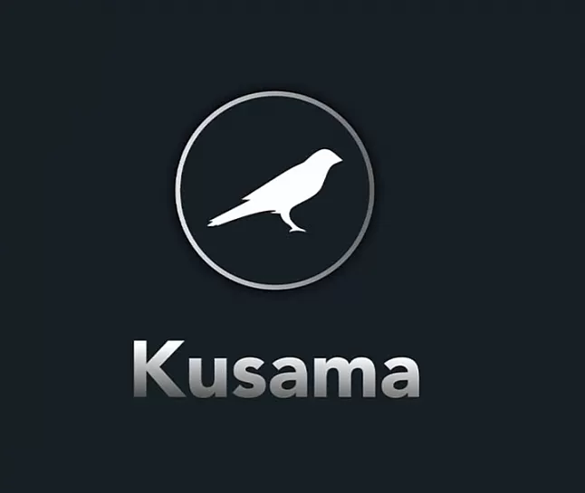 Kusama (KSM)Coin  Nedir? Kusama Coin Ne İşe Yarar ?