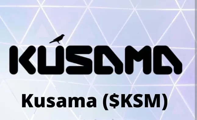 Kusama coin nasıl satın alınır ?