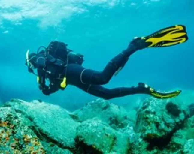 Rüyada Dalgıç Görmek Nedir ?