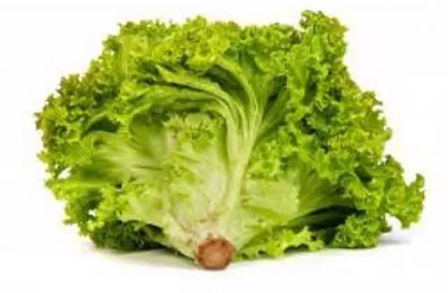 Rüyada Marul Görmek Nedir ?