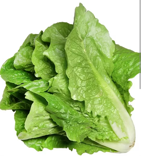 Rüyada Marul Görmek Nedir ?
