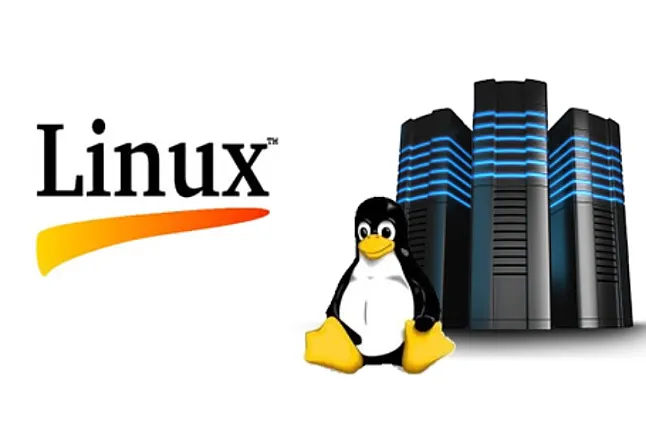 Expect Komutuyla Linux Komut Dosyaları Nasıl Otomatikleştirilir?