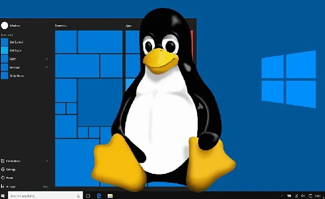 Expect Komutuyla Linux Komut Dosyaları Nasıl Otomatikleştirilir?